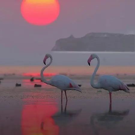 Apartmán Sardinia